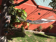 courtyard-hammock