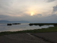 lake-chapala